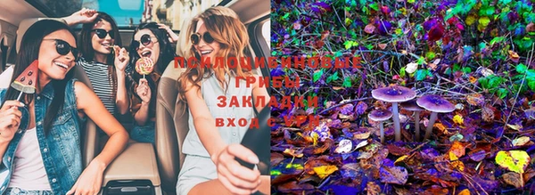 марки lsd Касимов