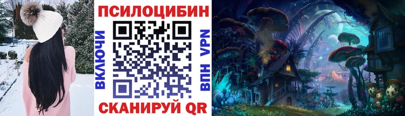 Купить  Боровичи  Псилоцибиновые грибы Cubensis 